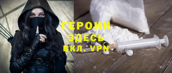 мдпв Ладушкин