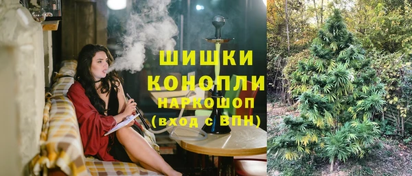 МДПВ Лагань