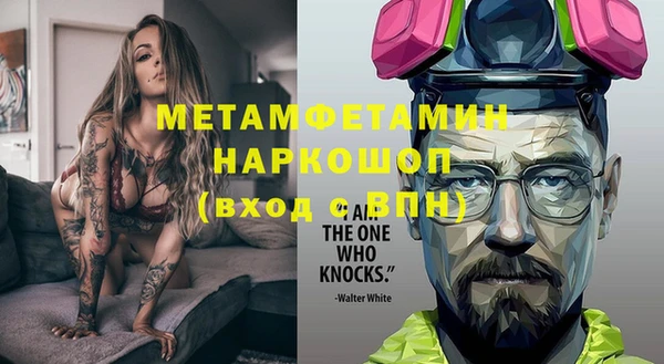 мдпв Ладушкин
