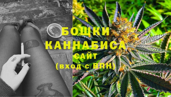 мдпв Ладушкин