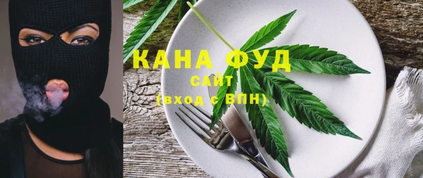 мдпв Ладушкин