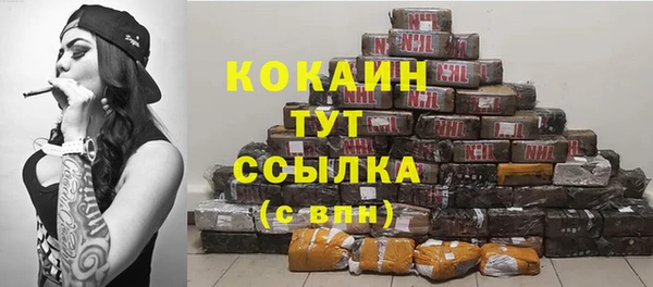 мдпв Ладушкин