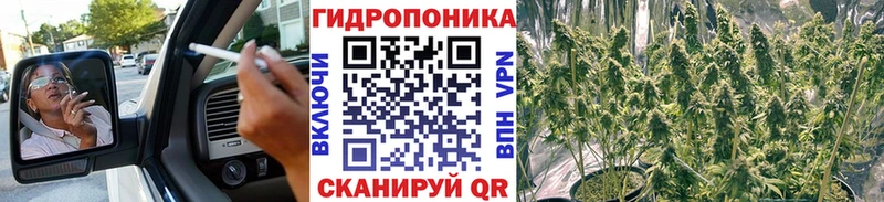 Каннабис MAZAR  где найти   Ильский 